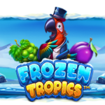 Frozen Tropics